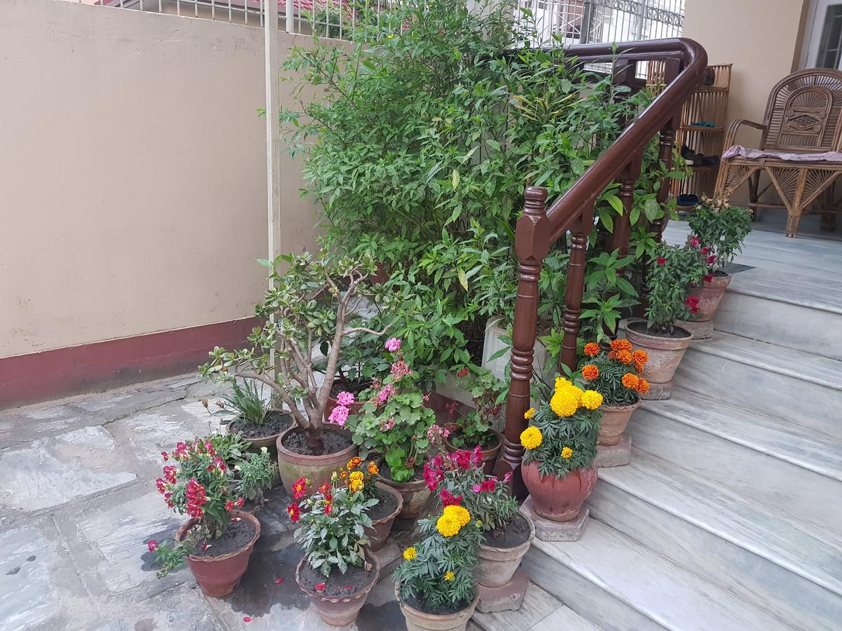 Cozy Home Jawlakhel Exterior foto